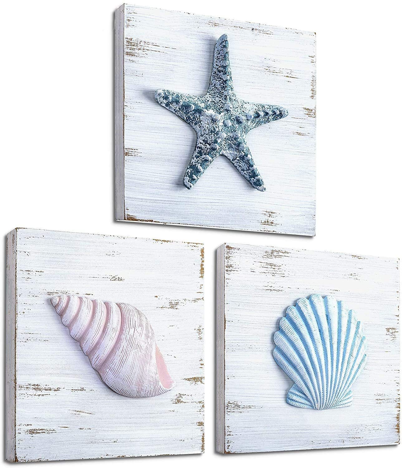 Rosecliff Heights 3 Piece Seashell Wall Décor Set | Wayfair