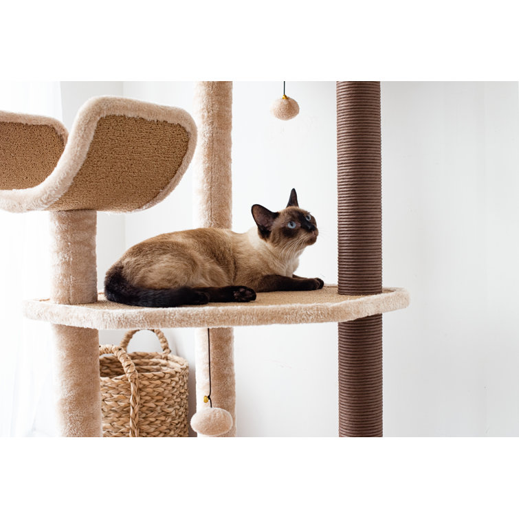 petland cat tree