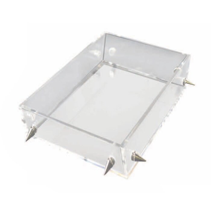 Mercer41 Zilla Lucite Stud Serving Tray & Reviews | Wayfair