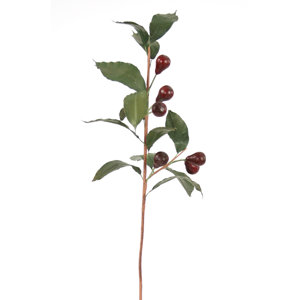 DIY Foliage Olive Branch Tree (Set of 6)
