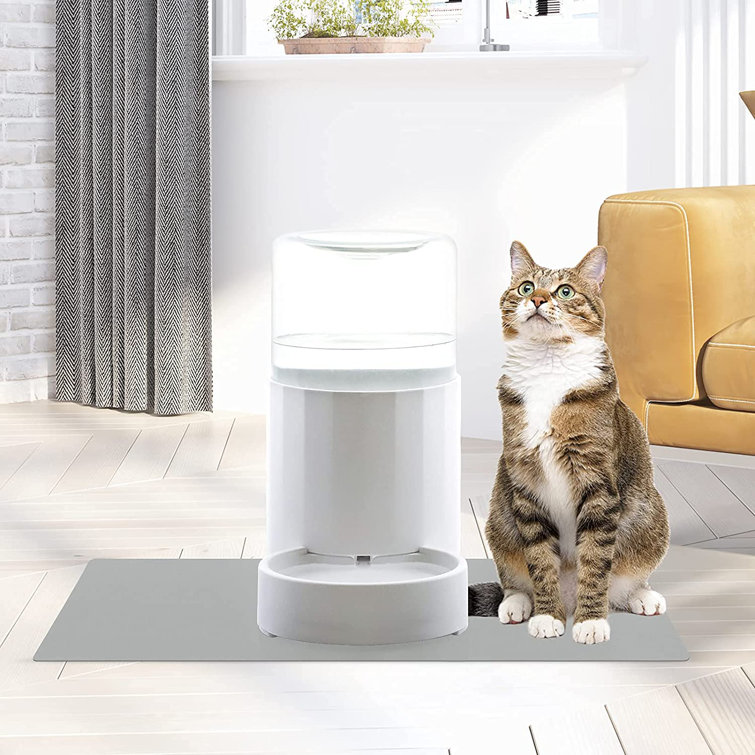 self dispensing cat feeder