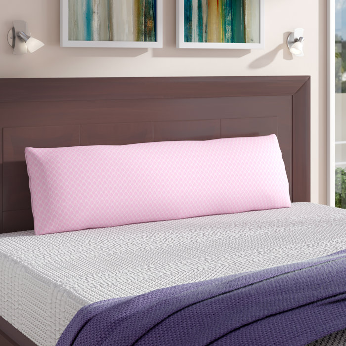 Alwyn Home Memory Foam Body Pillow Reviews Wayfair Ca