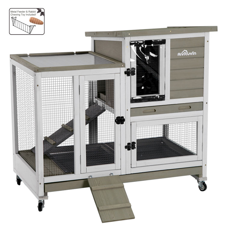 rabbit chewing hutch