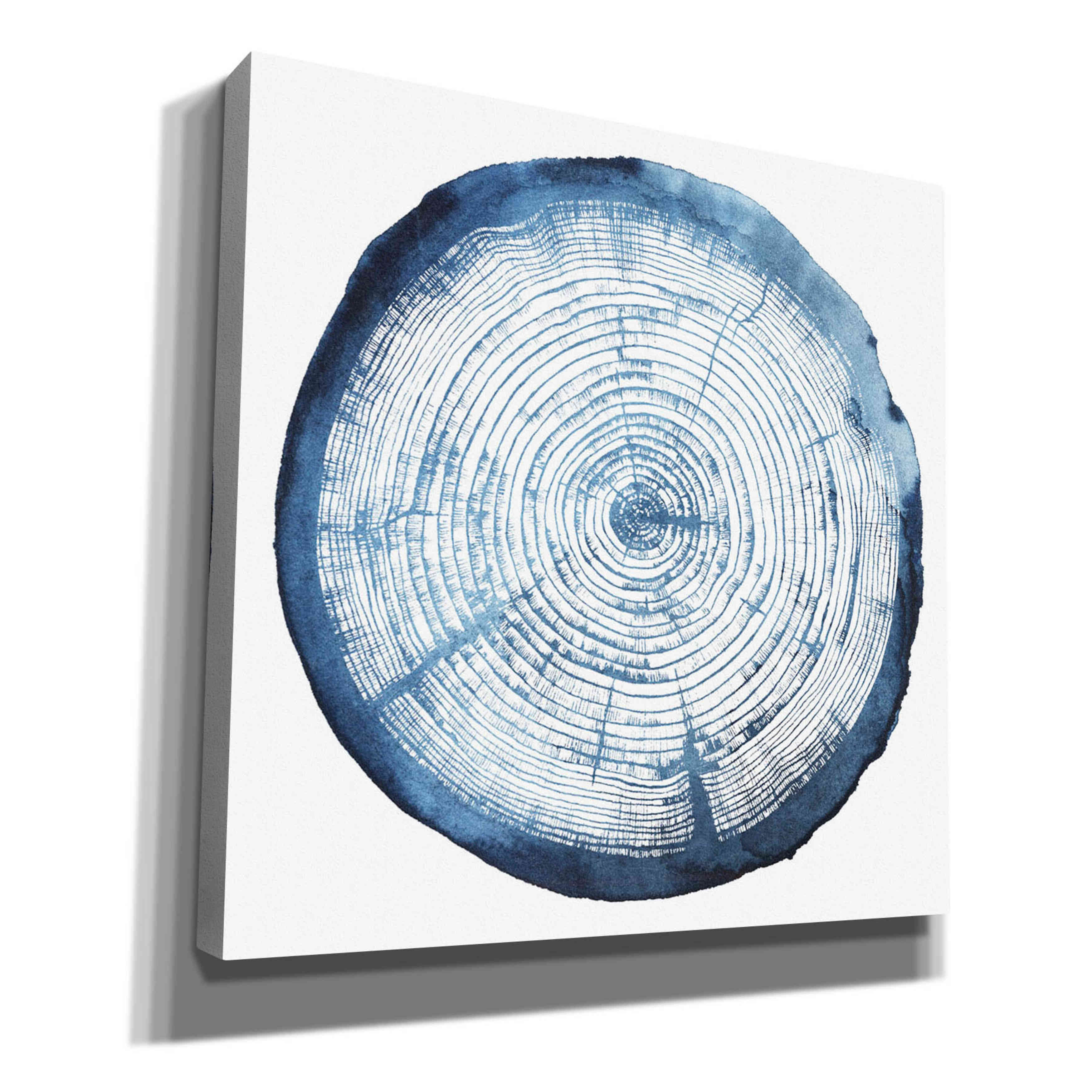 Loon Peak® Tree Ring Overlay I by Grace Popp - Wrapped Canvas Graphic ...