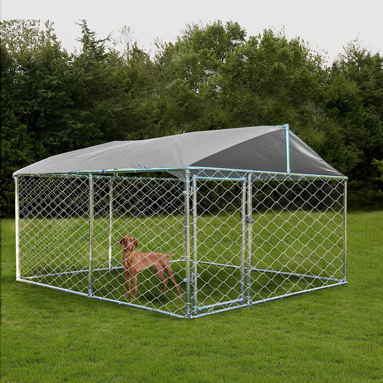 dog pen with roof