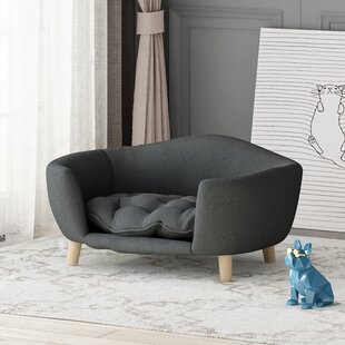 wayfair dog couch