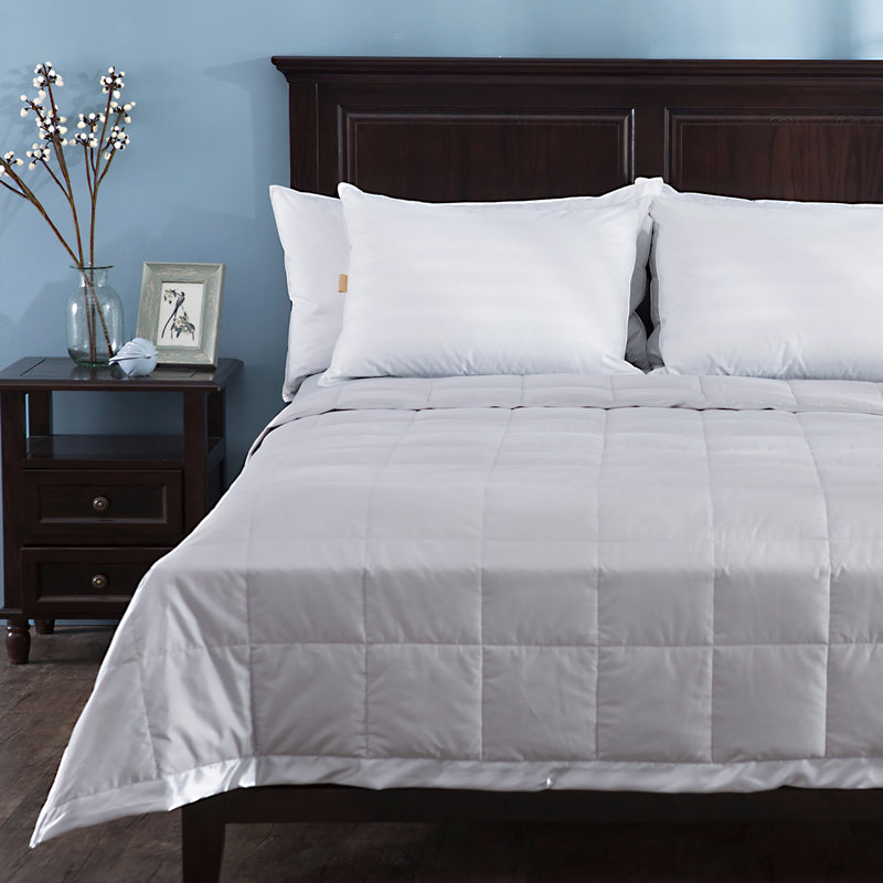 Alwyn Home Light Weight All Season Down Comforter Reviews Wayfair