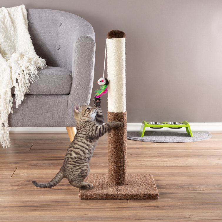 wayfair scratching post