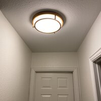 cambron 2 light flush mount