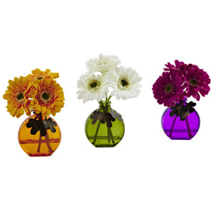 Gerber Daisy with Colored Vase (Set of 3)