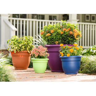 Large Plastic Planters You Ll Love Wayfair Quickview