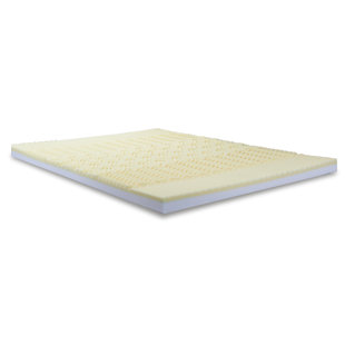Go to store & view more images Alwyn Home Convoluted Foam Combination Mattress Topper