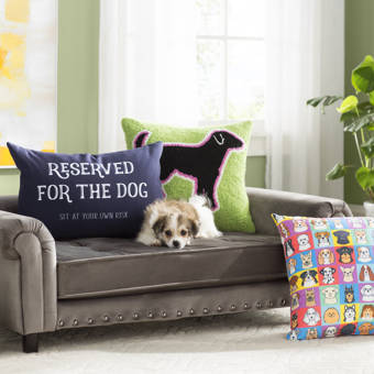 corrine dog sofa with cushion
