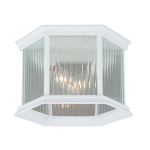 Tennyson 2-Light Outdoor Flush Mount