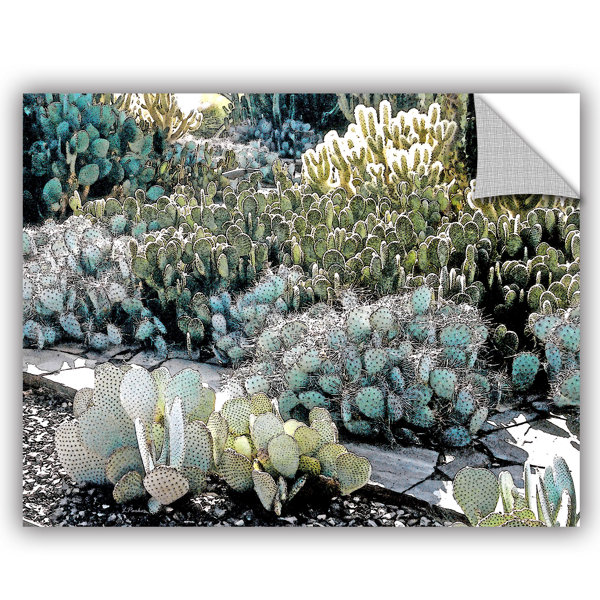 Artwall Botanical Garden By Linda Parker Photographic Printremovable Wall Decal Wayfair