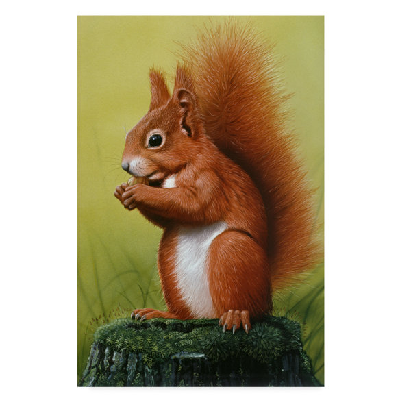 Trademark Art Red Squirrel Green Acrylic Painting Print On