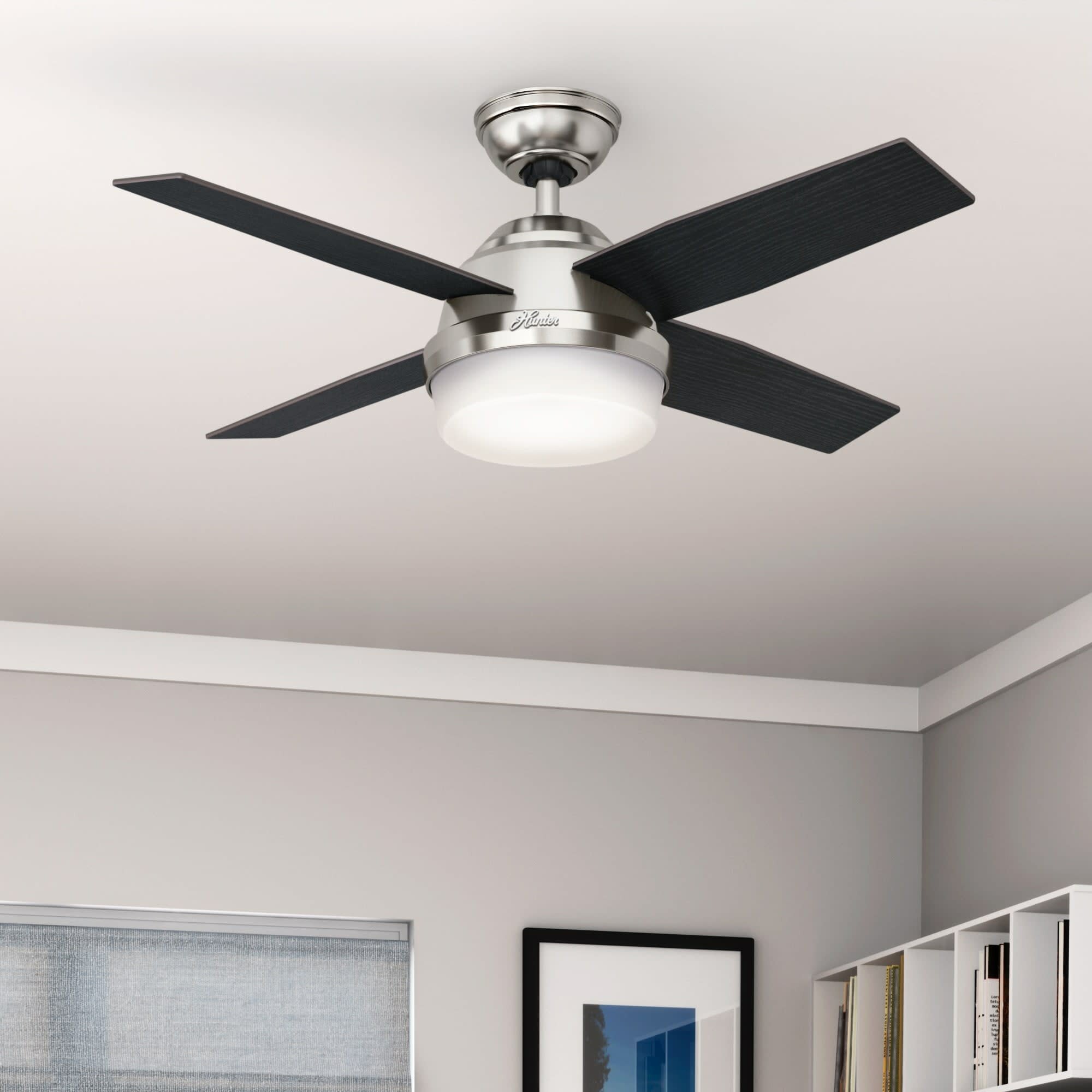 Hunter Fan Dempsey 44'' Ceiling Fan with LED Lights & Reviews | Wayfair