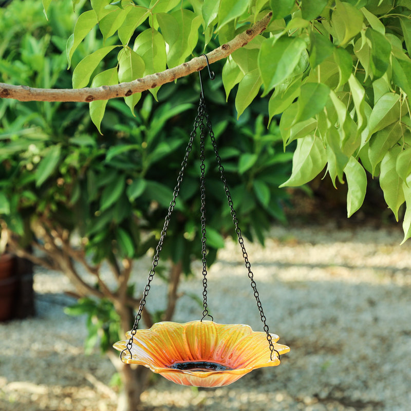 Luxen Home Sunflower Bowl Decorative Bird Feeder Reviews Wayfair