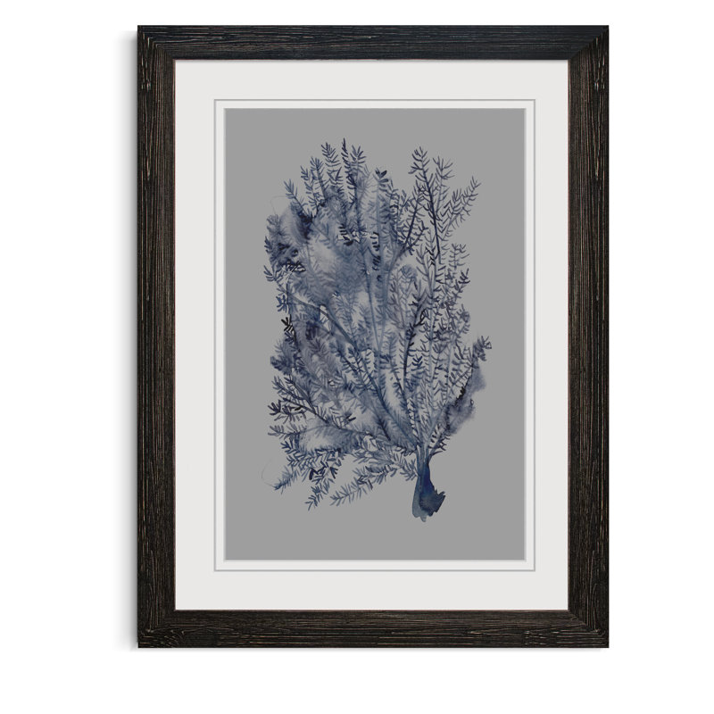 Winston Porter Seaweed Under Water Ii Picture Frame Print On Glass Wayfair