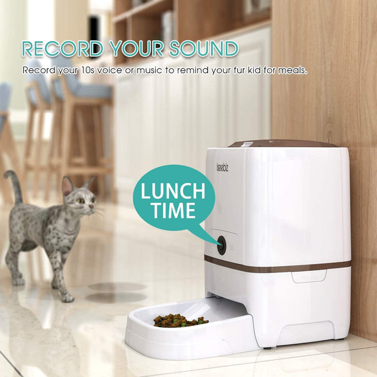 large cat feeder