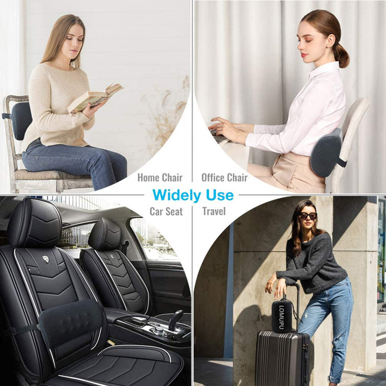 ergonomic back cushion