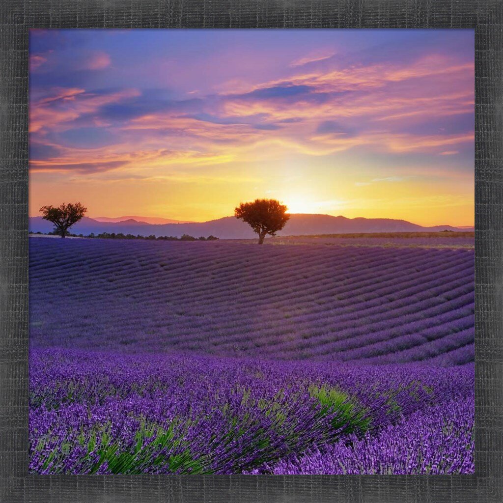 Latitude Run® Lavender Sky Sunset by Cora Niele - Picture Frame Print ...