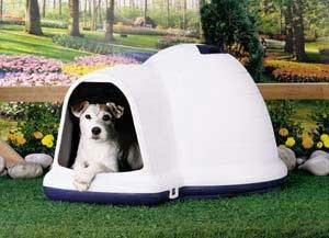 indigo igloo dog house