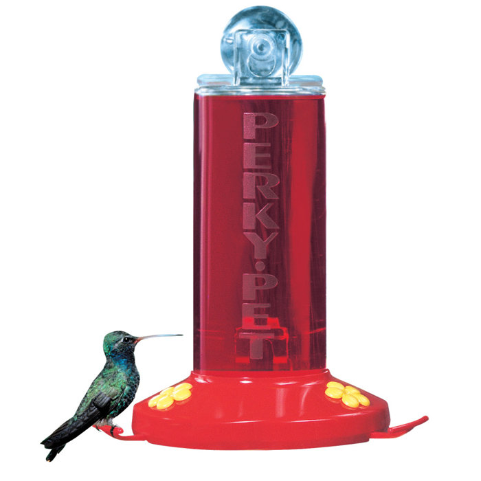 Woodstream Perky Pet 8 Oz Hummingbird Feeder Wayfair