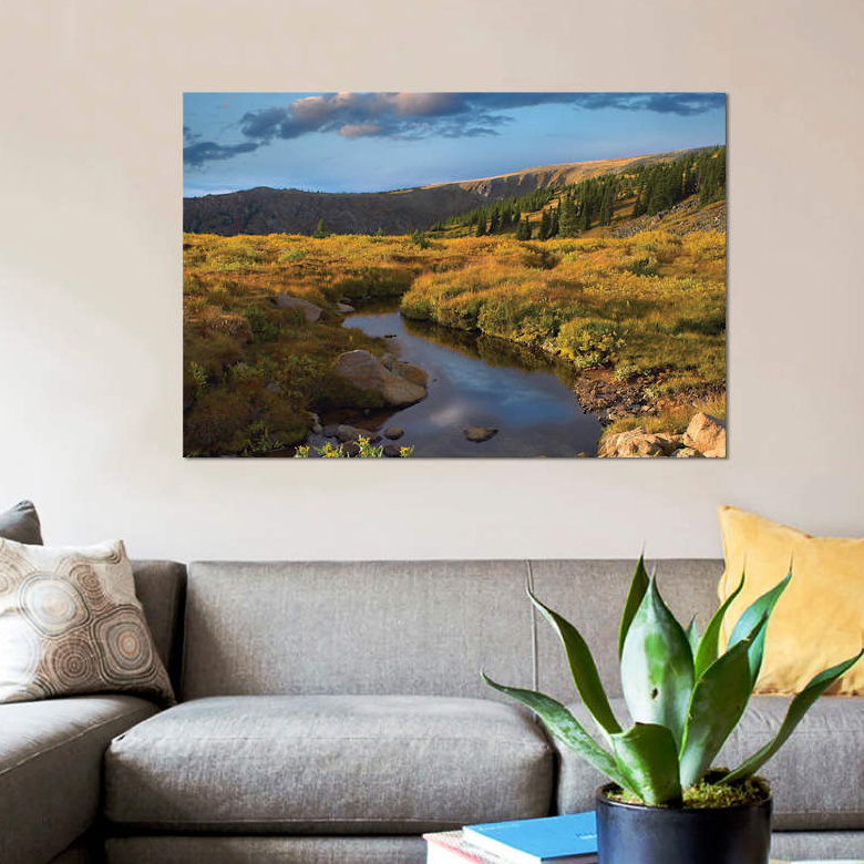 East Urban Home Ponderosa Pine Trees In Prairie Landscape Black