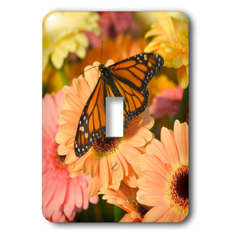 Monarch Butterfly Light Switch Plate