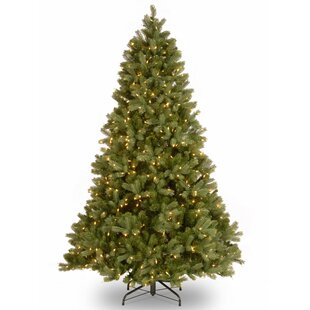Metal Stand and Hinged Branches Hykolity 6.5 ft Prelit Christmas Tree 1000 Tips Artificial Christmas Tree with 350 Warm White Lights
