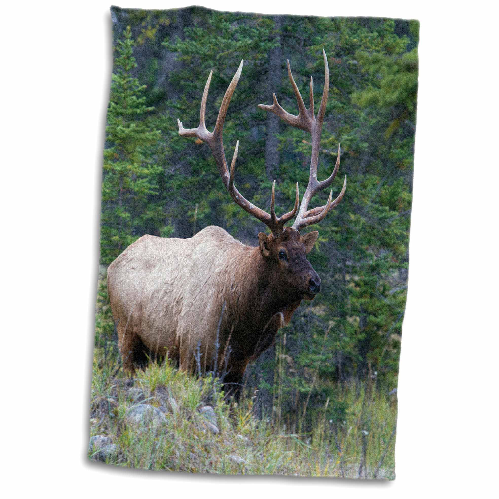 East Urban Home Butcher Rocky Mountain Bull Elk Alberta Hand Towel Wayfair Ca