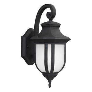 Teri 1-Light Outdoor Wall Lantern