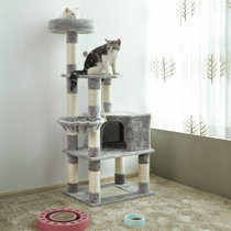 Carpet Cat Trees Condos You Ll Love In 2021 Wayfair
