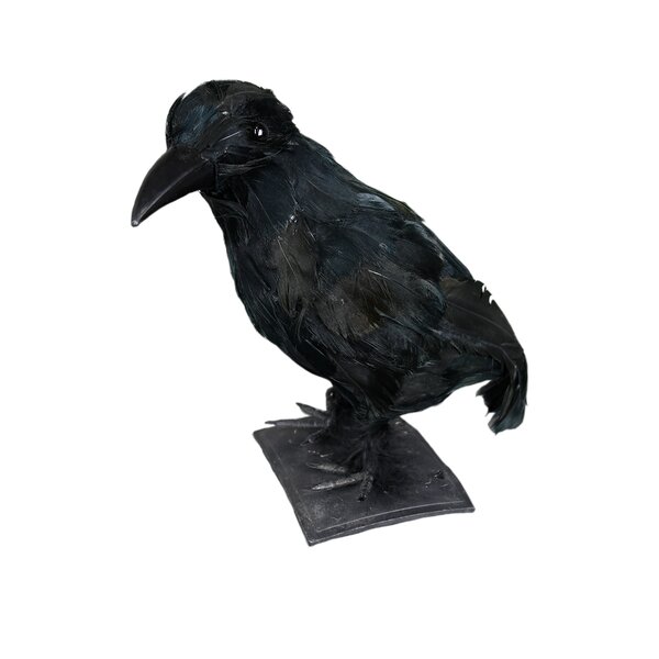 Lot of 6 Artificial Black Feather Halloween Black Bird Crows 3" tall x 5.5"