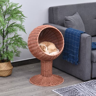 Elevated Cat Beds You'll Love in 2020 | Wayfair