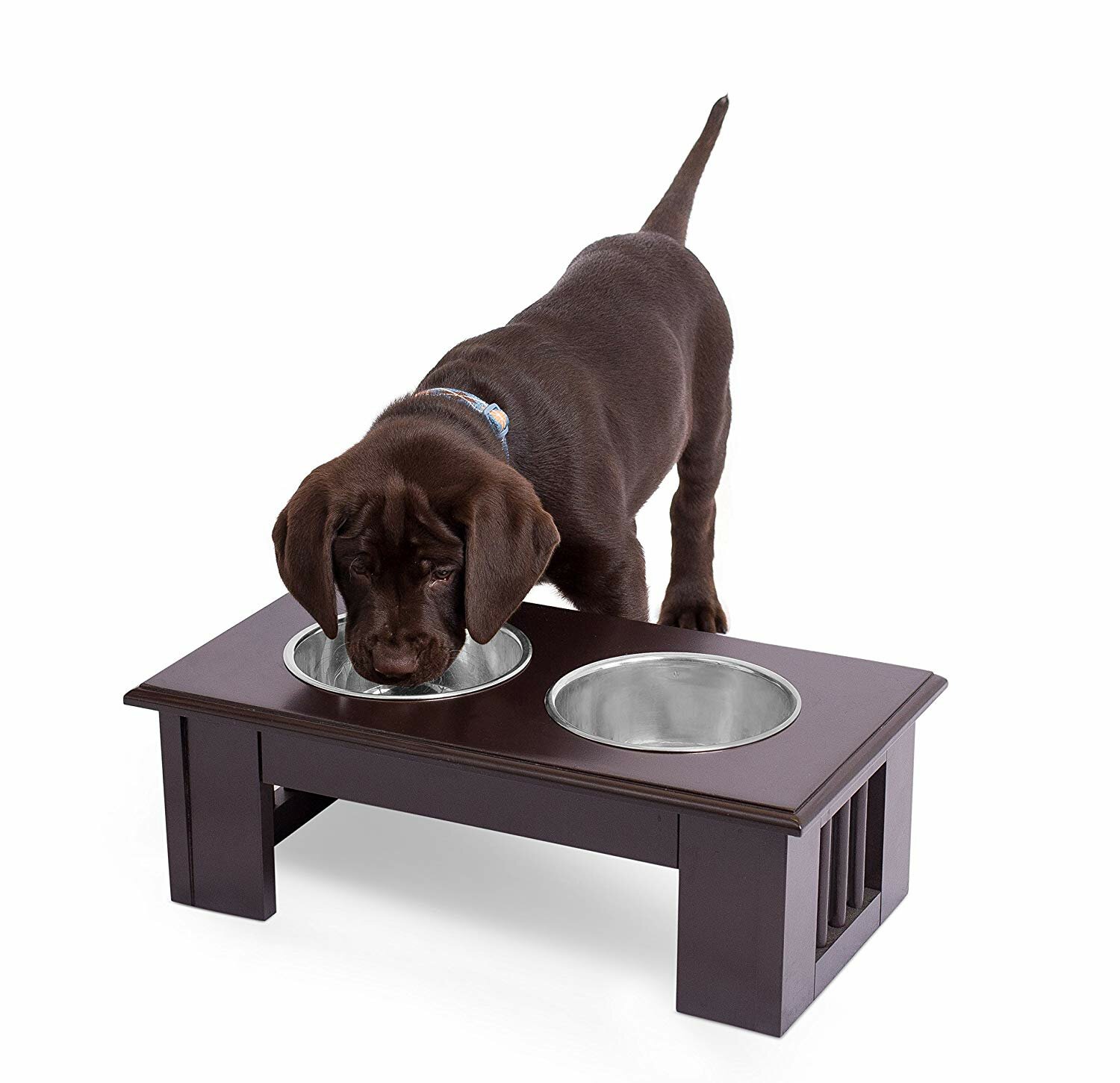 elevated pet bowls