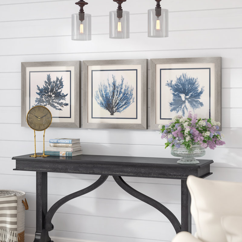 Highland Dunes Coastal Seaweed 3 Piece Picture Frame Graphic Art