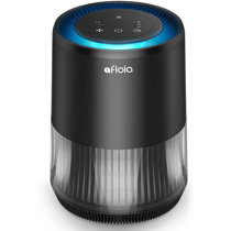 600 sq ft air purifier