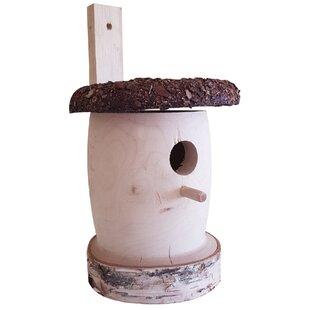 Kroh Mounted Birdhouse By Sol 72 Outdoor