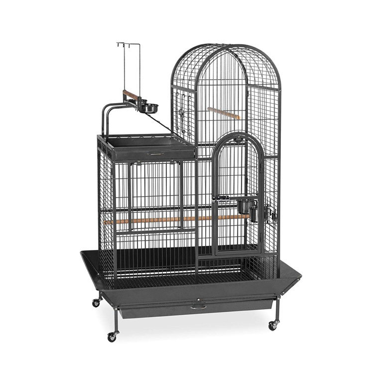 ringneck parrot cage for sale