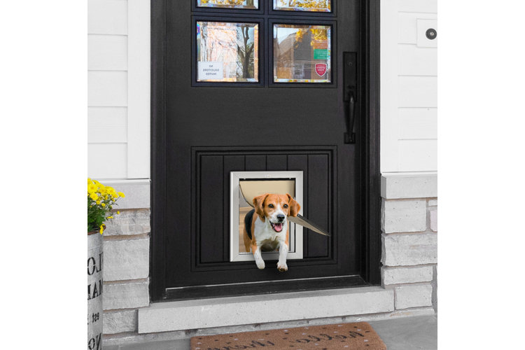 what size dog door should i get