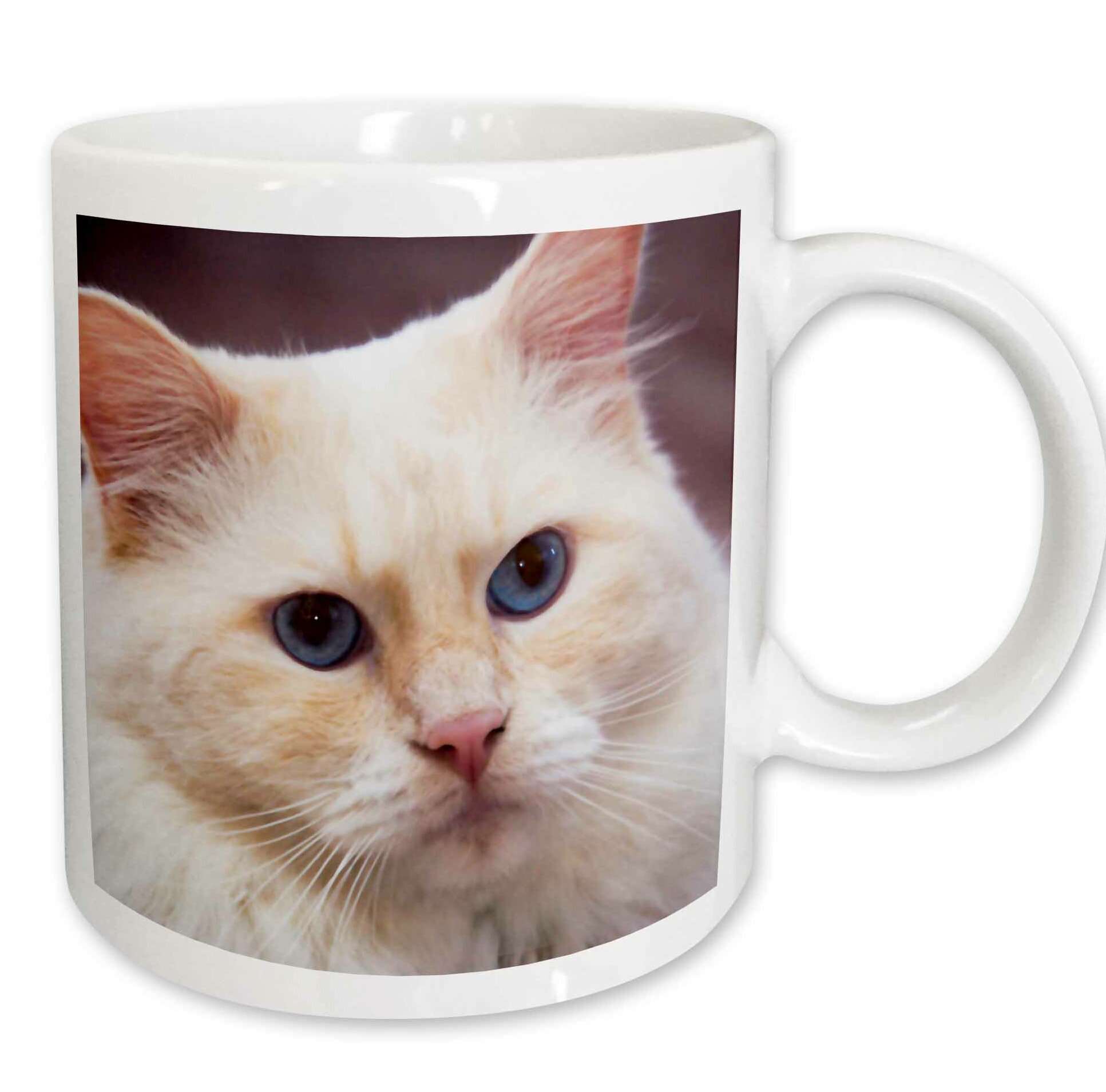 Winston Porter Rohrer Purebred Rag Doll Cat Flame Point Coffee Mug