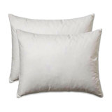 14 X 26 Pillow Insert Wayfair