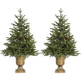Outdoor Holiday Urn Filler Wayfair