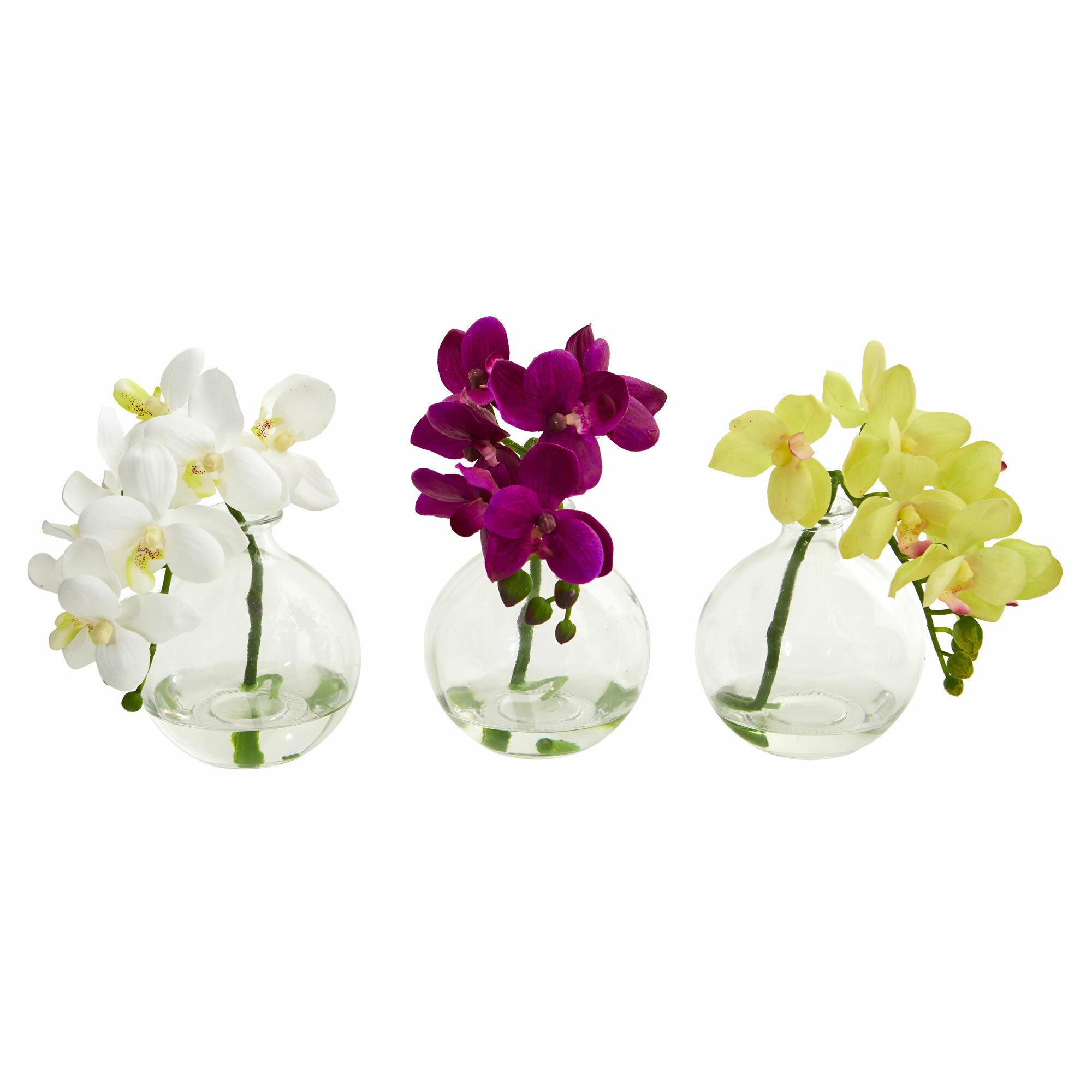 Le Prise 9 Phalaenopsis Orchid Floral Arrangement In Vase