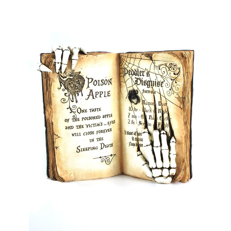 The Holiday Aisle® Open Spell Book | Wayfair