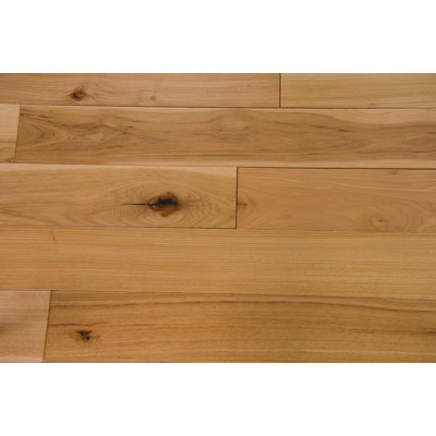 Thames Hickory 5 Solid Hardwood Flooring Branton Flooring Collection