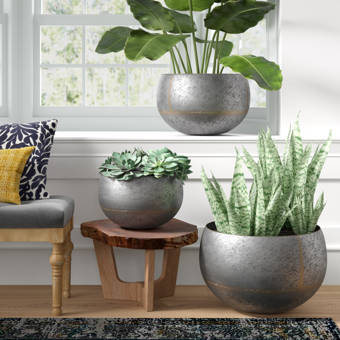 August Grove Danyel Iron Tin Pot Planter Wayfair