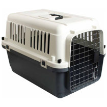large plastic dog carrier